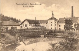 ** T1 Tarnobrzeg, Browar Parowy / Steam Brewery - Ohne Zuordnung