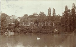 T2 1906 Vienna, Wien; Park With Lake, Pavilion, Photo - Ohne Zuordnung