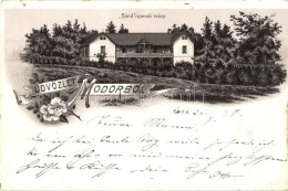 T2/T3 1897 Modor, Modra; 'Sand' Nyaralótelep / Villa, Floral, Litho (EK) - Ohne Zuordnung