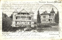 T2/T3 Borszék-fürdÅ‘, Borsec; Szini és Urmanczy Villa / Villas (EK) - Ohne Zuordnung