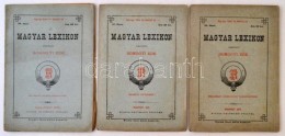 Somogyi Ede (szerk.): Magyar Lexikon 3 Száma. ( 26.,27.,36. Számok.) Budapest, 1879, Rautmann... - Ohne Zuordnung