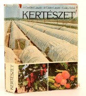 Dr. CselÅ‘tei László, Dr. Csider László, Csáky Antal: Kertészet.... - Ohne Zuordnung