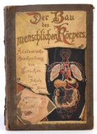 Der Bau Des Menschlichen Körpers. Anatomische Beschreibung Des Menschen Für Schule Und Haus. Szerk.:... - Sin Clasificación