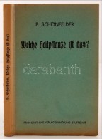 Schönfelder, Bruno: Welche Heilpflanze Ist Das? Deutsche Heil- Und Giftpflanzen Ihr Aussehen Und Ihr Wirken.... - Sin Clasificación