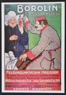 1979 Borolin Sósborszesz - Felülmúlhatatlan Házi Szer, Reprint Plakát, 34x24 Cm - Ohne Zuordnung