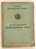 1939 Magyarország MezÅ‘gazdasági Ipara, Magyar Statisztikai Szemle, Pp.:176, 26x19cm - Unclassified