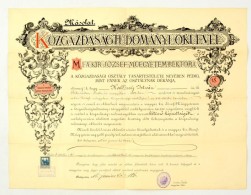 1915 Közgazdaságtudományi Oklevél Másolata Hallóssy István (1893-?),... - Unclassified