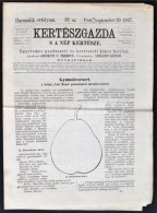 1867 Kertészgazda S A Nép Kertésze, Egyetemes Gazdászati és Kertészeti... - Sin Clasificación