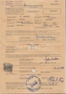 Cca 1945 Amerikai Elbocsátólevél Magyar Hadifogoly Részére - Other & Unclassified