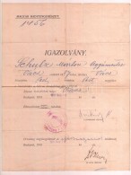 1918 Magyar Haditengerészeti Igazolás Leszerelt ágyúmester Részére A... - Andere & Zonder Classificatie