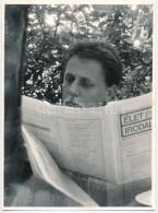Gálfalvi György (1942-) József Attila-díjas Romániai Magyar író,... - Sonstige & Ohne Zuordnung