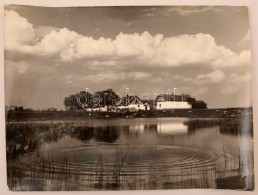 Cca 1957 Medgyesi László: Tavasz, Feliratozott Vintage FotómÅ±vészeti Alkotás,... - Andere & Zonder Classificatie