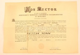 1954 Orvosi Diploma Szakadással - Unclassified