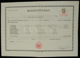 1948 A Pázmány Péter Tudományegyetem Jogi Doktori Bizonyítványa... - Ohne Zuordnung