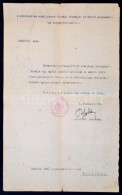 1919 Bp., Irodasegédtisztnek Szóló Szolgálattételre Való... - Ohne Zuordnung