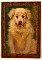 Ferenczy Jelzéssel: Golden Retriever. Olaj, Vászon, Keretben,  56×37 Cm - Sonstige & Ohne Zuordnung