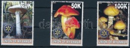 O Mianmar 2001 Gomba 3 Klf Bélyeg - Other & Unclassified