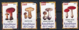 ** Kongó 2012 Gomba 4 Klf Bélyeg - Sonstige & Ohne Zuordnung