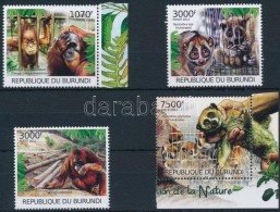 ** 2012 Majom Sor 4 értéke 2621-2624 - Sonstige & Ohne Zuordnung