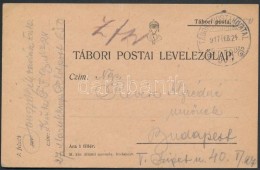 1917 Tábori Posta LevelezÅ‘lap 'TP 650' - Otros & Sin Clasificación