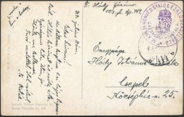 1917 Tábori Posta Képeslap / Field Postcard 'M.KIR. 19 HONVÉD GYALOGEZRED 3.... - Other & Unclassified