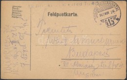 1917 Tábori Posta LevelezÅ‘lap / Field Postcard'TP 415 B' - Other & Unclassified