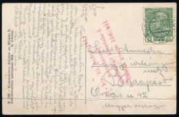 1916 Tábori Posta Képeslap 5 Heller Bérmentesítéssel 'M. Kir. 51.... - Autres & Non Classés