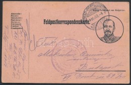 1916 Tábori Posta Képeslap / Field Postcard 'KOMMANDO In Wladimir-Wolynski' + 'HP 171' - Other & Unclassified