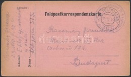 1916 Tábori Posta LevelezÅ‘lap 'M.k. Budapesti 29-ik NépfölkelÅ‘ Gyalog Ezred' + 'FP 313' - Otros & Sin Clasificación