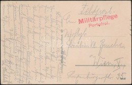 1915 Tábori Posta Képeslap 'Militärpflege Portofrei' - Andere & Zonder Classificatie