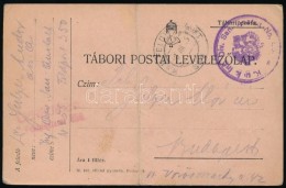 1915 Tábori Posta LevelezÅ‘lap 'K.u.K. Inf. Div. San. Anstalt No, 58'  + K.u.K. FP 350' - Autres & Non Classés