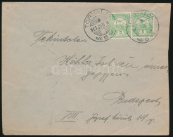 1913 Levél ,,TORNALJA' - Budapest - Other & Unclassified