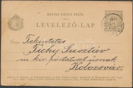 1901 Díjjegyes LevelezÅ‘lap Kézi Festéssel 'CZIFFER' - Kolozsvár - Other & Unclassified