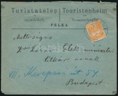 1900 Nyomtatvány ,,FELKA' - Budapest - Sonstige & Ohne Zuordnung