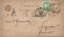 1893 Díjkiegészített Díjegyes LevelezÅ‘lap Lyonba - Andere & Zonder Classificatie