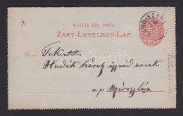 1889 Díjjegyes Zárt LevelezÅ‘lap 'ERDÅ-SZADA' - Other & Unclassified