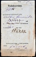 1882 Ex Offo Tudakozvány / Reclamation 'FACSET' - 'LUGOS' - 'WIEN' - Autres & Non Classés