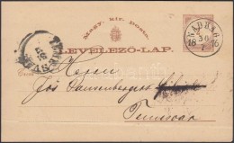 1876 Díjjegyes LevelezÅ‘lap / PS-card 'NADRAG' - 'TEMESVAR' - Andere & Zonder Classificatie
