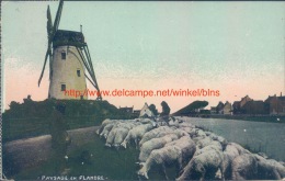 1925 Molen Damme - Damme