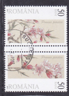 # 176 FLOWER, 2011, USED,  BLOCK, IN PAIR OF TWO, ROMANIA - Used Stamps