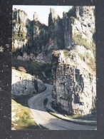 GORGES DE CHEDDAR - CHEDDAR GORGE - ANGLETERRE ENGLAND - Cheddar