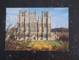 CATHEDRALE DE WELLS - SOMERSET - ANGLETERRE ENGLAND - Wells