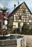 CPSM Dentelée - WINTZENHEIM (68) - Vue De La Vieille Maison Alsacienne à Côté De La Fontaine Dans Les Années 60 - Wintzenheim