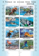 Mozambico 2010, Ocean Park Of Hong Kong, Fishes, Panda, Tucan, Dolphins, Flamingo, Birds, 8val In BF - Flamencos
