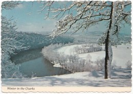 Winter In The Ozarks, Of Southern Missouri And Northern Arkansas, 1981 Used Postcard [18910] - Other & Unclassified