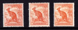 Australia 1938- 1949 1/2d Kangaroo P15, P13.5 And No Watermark Mint  SG 179, 164, 228 - Neufs