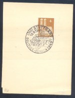 Germany Deutschland 1949 Card Stck.: Motorcycle Motorbike Fahrrad Moto; Solitude Rennen Stuttgart - Motorbikes