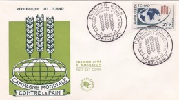 Tchad - Lettre - Tchad (1960-...)