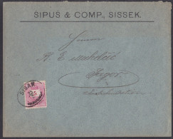 SISAK (Croatia), Cover, Franked 5 Kr., Mailed Cca 1895 - Lettres & Documents