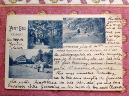 Céligny, Petit-Bois Avec Oblitération Linéaire 5.VII.1906. Carte Précurseur, Très Rare. Dos Simple, Non Divisée. - Céligny
